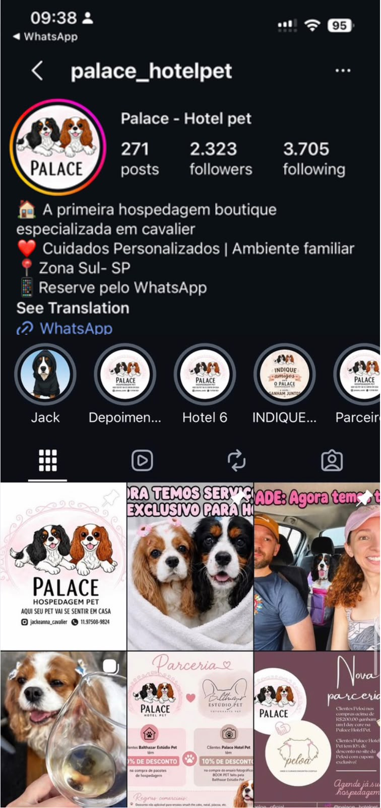 Prévia do perfil @palacehotelpet no Instagram