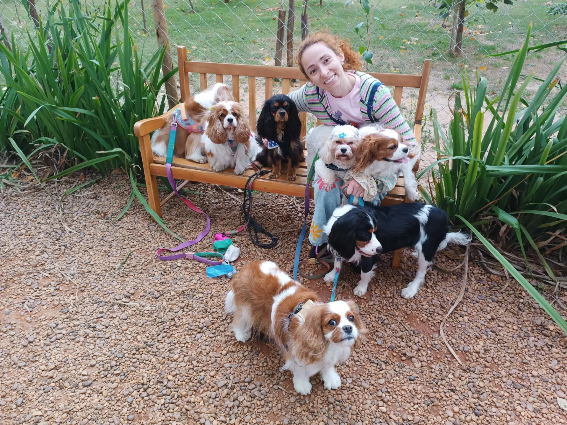 Rebeca sentada em um banco no parque acompanhada por vários cães de pequeno porte